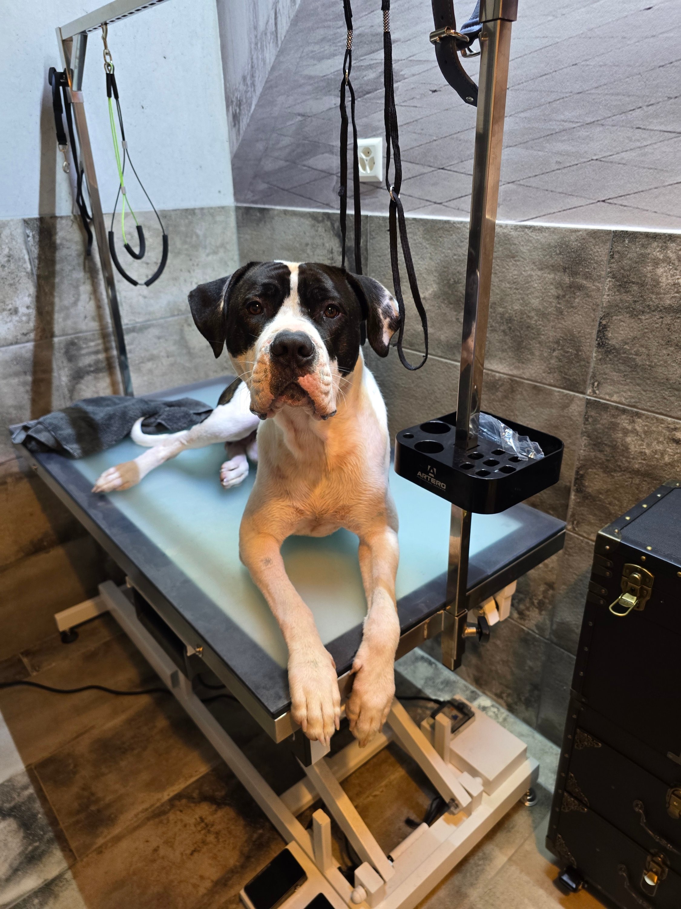 20250616_110313(0)-1