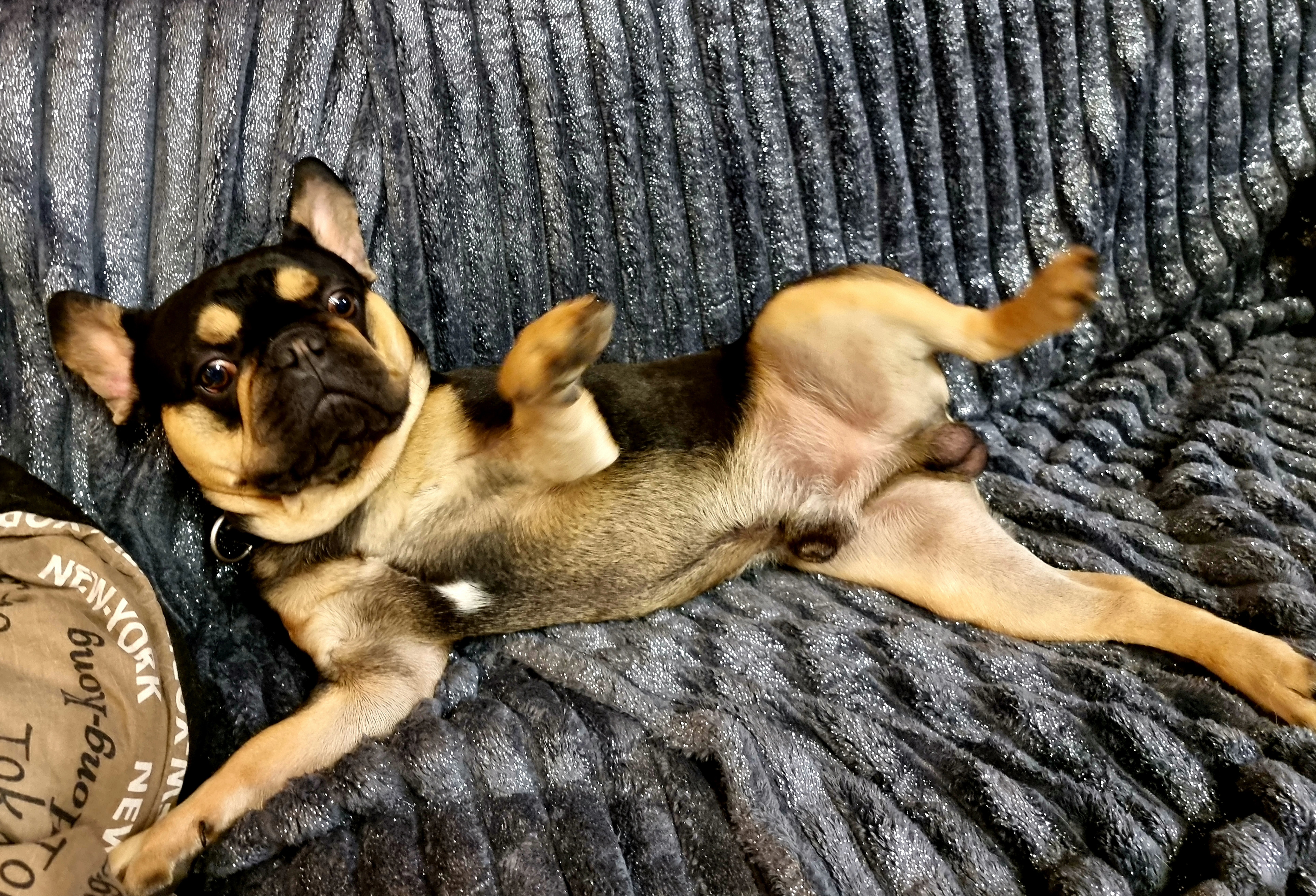 IMG_20210802_162931_419