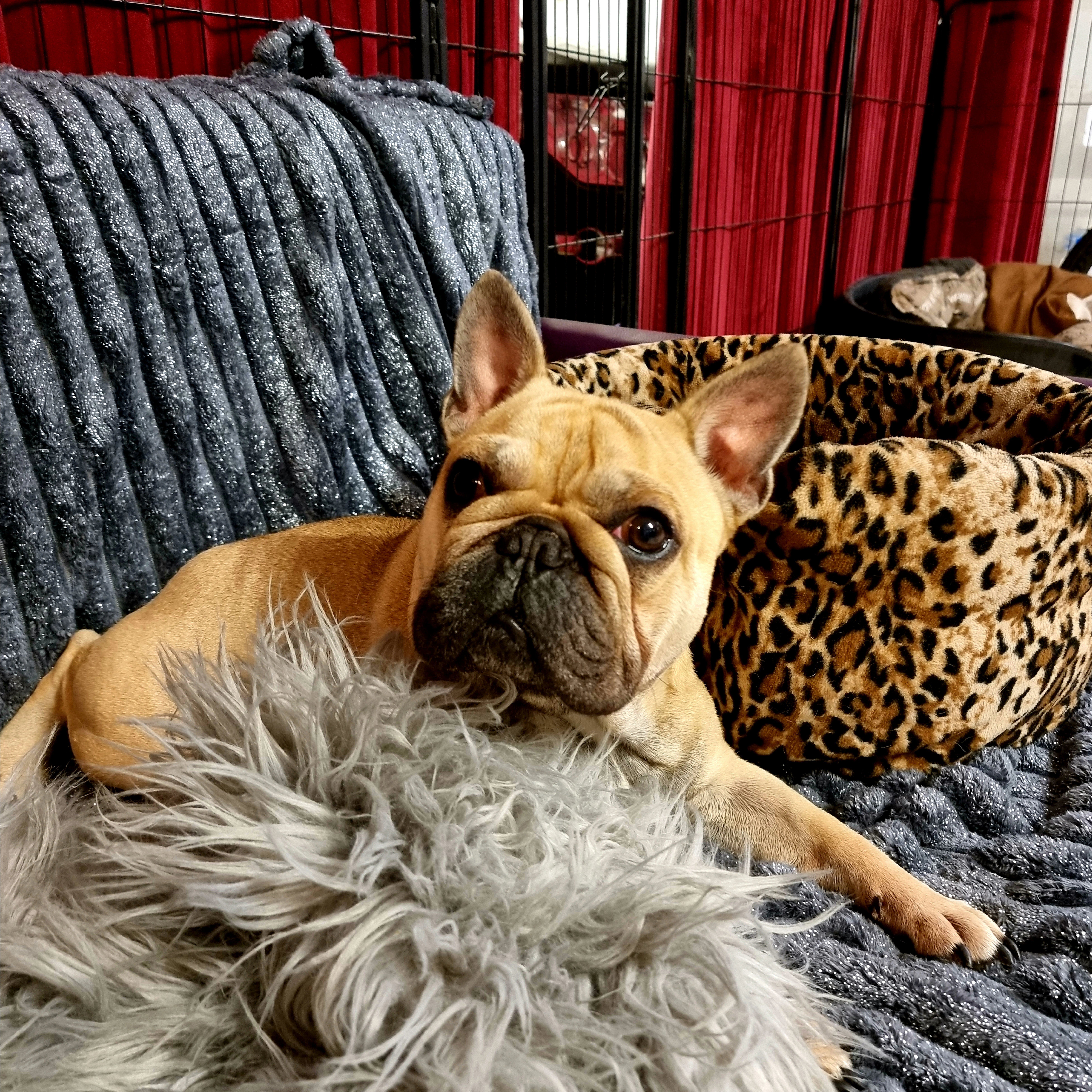 IMG_20210808_085620_087